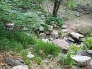 photo thumbnail #2