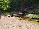 photo thumbnail #7