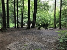 photo thumbnail #5