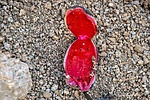 photo thumbnail #11