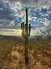 photo thumbnail #13