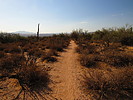 photo thumbnail #4