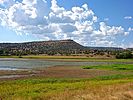 2021-06-25 :1: Sundog Trail :: kingsnake