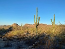 photo thumbnail #14