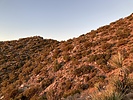photo thumbnail #3