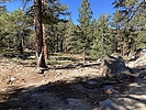 photo thumbnail #6