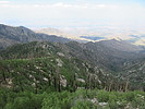 photo thumbnail #6