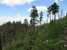 photo thumbnail #13