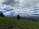photo thumbnail #6