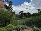 photo thumbnail #3
