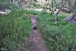 2021-06-25 :1: Watson Lake Loop :: Yoder