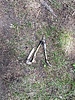 photo thumbnail #14