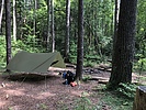 photo thumbnail #8