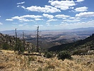 photo thumbnail #5