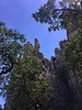 photo thumbnail #12