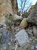 photo thumbnail #3