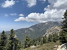 photo thumbnail #8