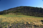 photo thumbnail #5