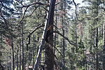 photo thumbnail #9