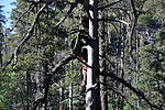 photo thumbnail #11