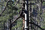 photo thumbnail #12