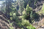 photo thumbnail #13