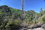 photo thumbnail #14