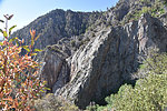 photo thumbnail #15