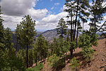 photo thumbnail #8
