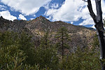photo thumbnail #10