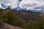photo thumbnail #11
