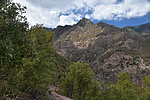 photo thumbnail #12