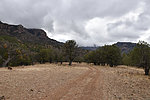 photo thumbnail #2