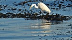 2021-04-15 :: Morro Bay :: tibber