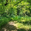 photo thumbnail #3