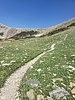 photo thumbnail #9