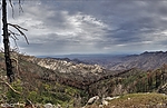 photo thumbnail #3