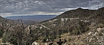 photo thumbnail #12