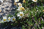 photo thumbnail #15