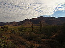 photo thumbnail #4