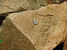 photo thumbnail #15