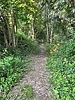 photo thumbnail #4