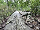 photo thumbnail #4