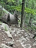 photo thumbnail #14