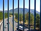 2021-07-08 :1: Flagstaff - AZT #33 :: kingsnake