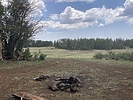 photo thumbnail #2