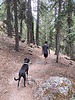 photo thumbnail #5