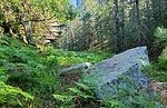 photo thumbnail #3