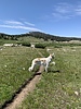 photo thumbnail #10