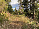 photo thumbnail #5